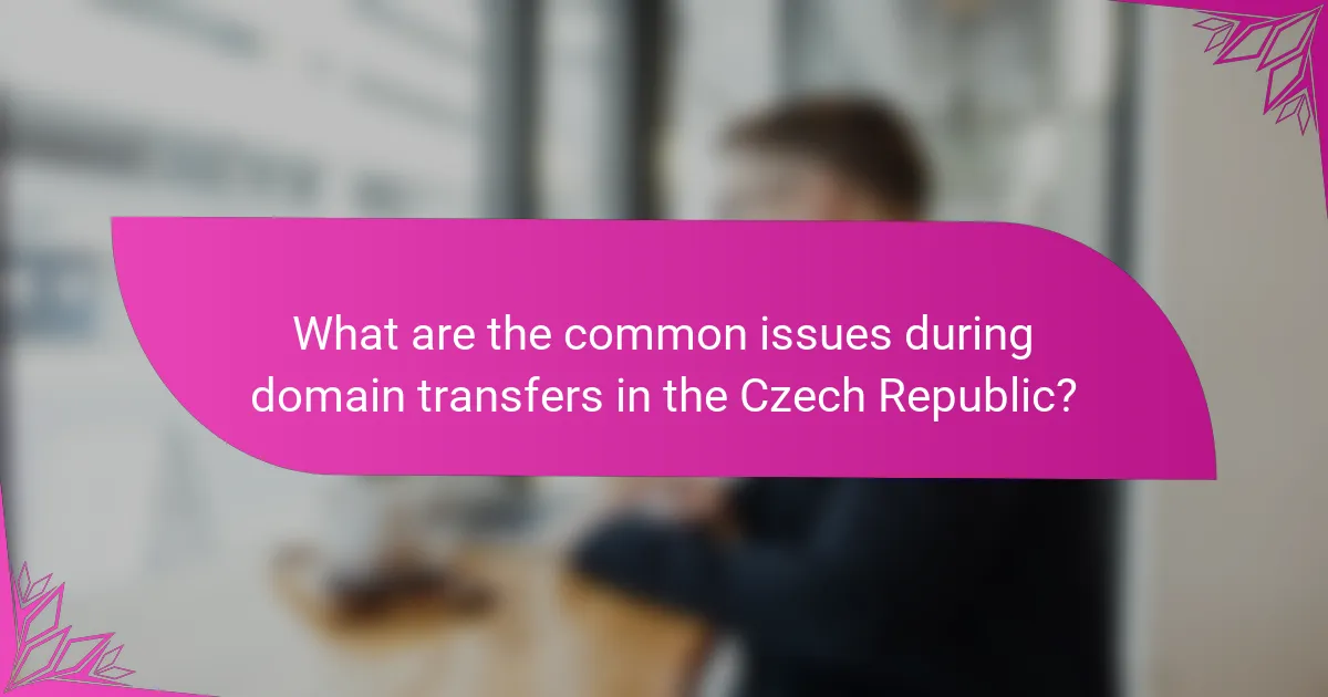 What are the common issues during domain transfers in the Czech Republic?