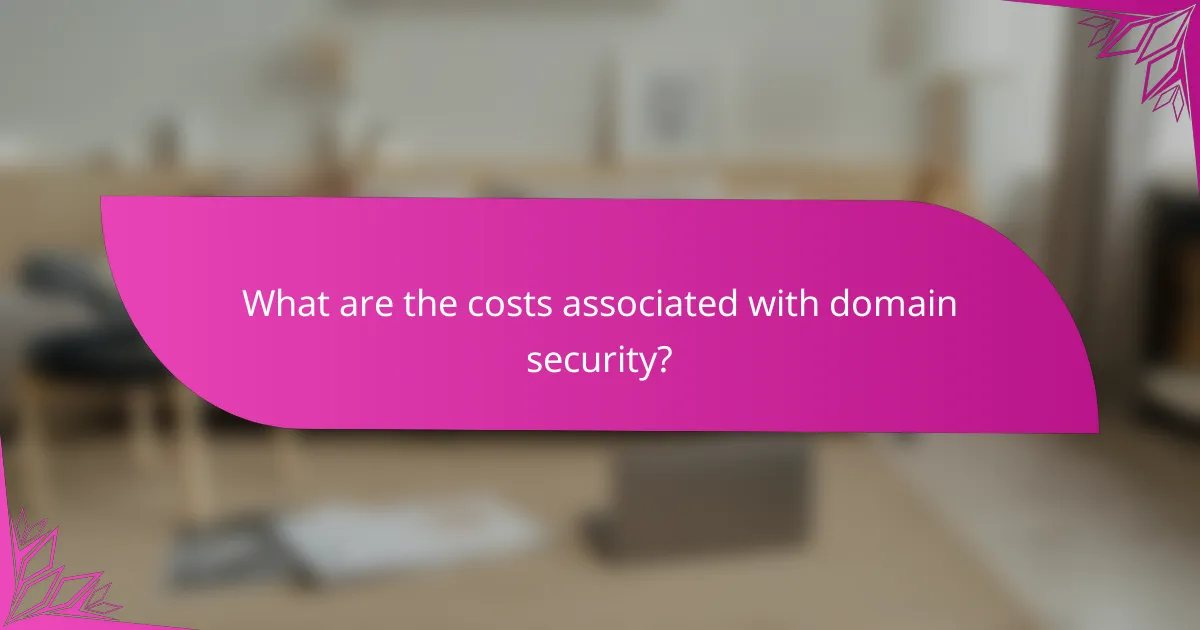 What are the costs associated with domain security?