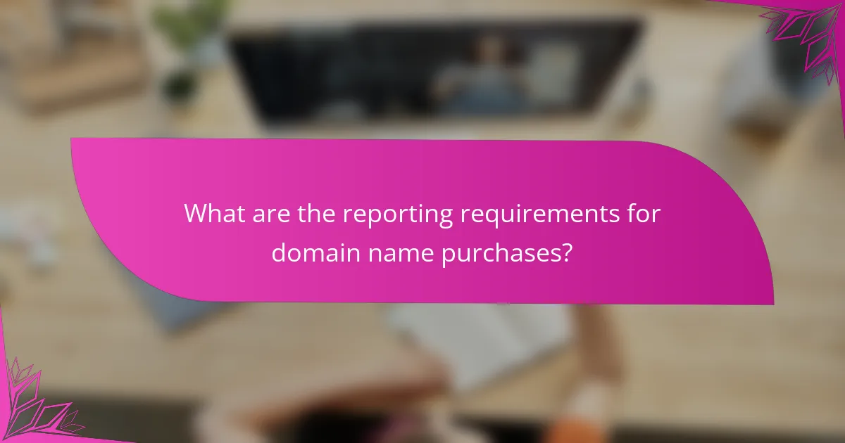 What are the reporting requirements for domain name purchases?